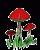 /album/houby/houby-012-gif/